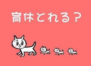 転職サイトの「産休・育休取得実績あり」って信じて良い?